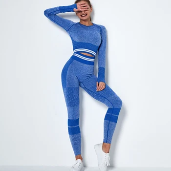 Nouă Femei fără Sudură cu Dungi Pantaloni de Yoga Jambiere Set de Stretching Sutien de Sport cu Maneci Lungi T-shirt, pantaloni Scurți de Sport