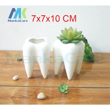 Dintii ghiveci de flori vaza dinte statuie model clinica stomatologica cadou toy dentare implant dentar dentare ortodontice halloween decor gradina