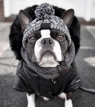Crăciun Caine Mic Pălărie de Iarnă Vânt Cald Pufos Tricotate Bulldog francez Câine Pălărie Amuzant Costume Mare pentru Câini de talie Mică, articole de acoperit capul