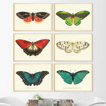 Arta de perete Imprimă doar dă-i Antic Fluture Insecte Illustratio Panza Pictura pe Perete Poza de Învățământ Poster Grădiniță Decor