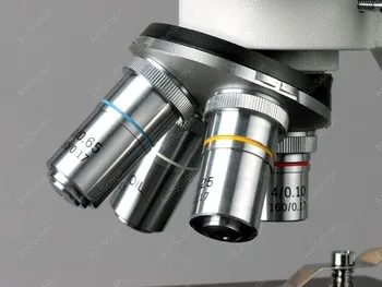 Binocular Microscop Biologic-AmScope Consumabile Binocular Microscop Biologic 40X-2000X