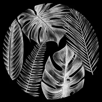 Cortina Tropicale cu Frunze de Palmier în Cercul de Desen Creion Schiță lucrări de Artă Modernă pe Fundal Întunecat, Negru, Gri