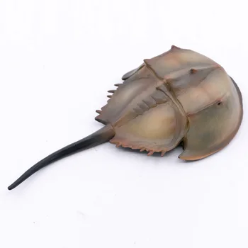 2020 Nou CollectA Animale Preistorice Ocean Horseshoe Crab Natura Educative Model din Plastic PVC Figura #88905