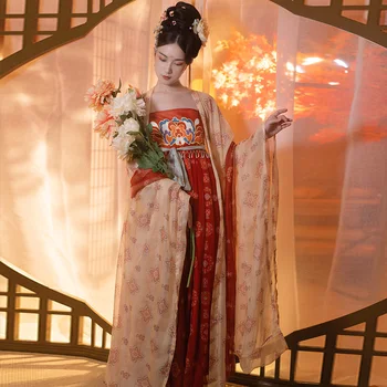 Hanfu Costum Oriental pentru Femei Dinastiei Tang Chineză Tradițională de Dans Popular Haine de Printesa Rochie de Costum de Scenă Rave Purta DN6363