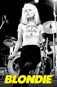 Decor Acasă Blondie, Debbie Harry Tabără Funtime Concert Rock-Mătase De Artă Poster De Perete Bolnav De Decorare Cadou