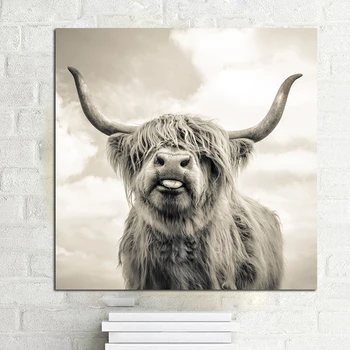 Alb și negru Highland Vaca Arta Panza de Imprimare și Poster Panza Pictura Pepinieră Nordic Decor Perete Imagine pentru Camera de zi