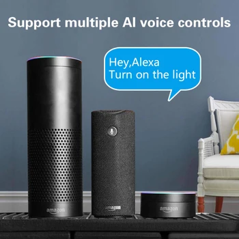 Standard 10A UE Wifi Inteligent Plug Cu Monitor de Putere, Inteligent Priză Funcționează Cu Amazon Echo de Start Google Alexa Control Vocal