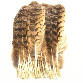 10buc Rare Bufniță Vultur 10-12 țoli/25-30cm Naturale Pene de Vultur pentru Meserii de luare de bijuterii Decorative Diferite Plumas Pene