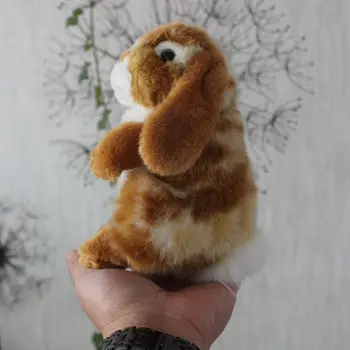 Moale jucărie de pluș viața reală iepuri Lop păpuși jucarii copii, cadouri de ziua de nastere drăguț iepure mic
