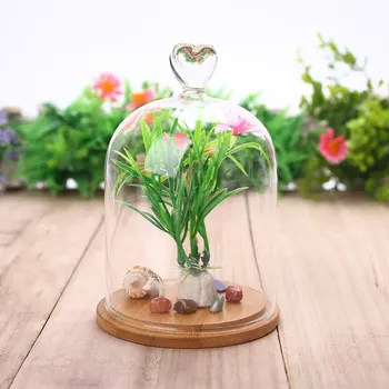 Pasăre Inima Florale Decor Crescut de Vase Capac din Sticlă Festivalul Ziua Îndrăgostiților Conservate de Flori Proaspete Multi-Model Creative de Decorare
