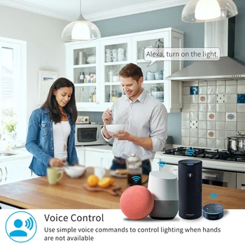 Tuya de Viață Inteligentă Wifi Switch 2 Banda Releu Întrerupător Modulul de Start Google Alexa Echo Control Vocal Inteligent de Iluminat Timer DIY