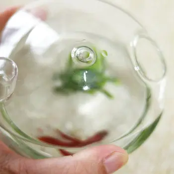Ciuperci-Agățat în formă de Sticlă de Plantat Vaza Rumble Fish Tank Terariu Recipient Acasă Decor Gradina