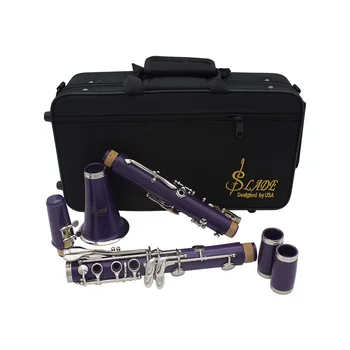 SLADE 17 Cheie Clarinet care se Încadrează Ton B Soprana Nichel Placare cu Instrumente Muzicale Profesionale, Instrumente de Suflat din lemn