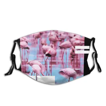Mască de protecție cu filtru de Flamingo Park Retro Mare Flamingo Roz anti praf PM2.5 reutilizarea adult teen fata de copil