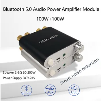 2*100W Putere Amplificator Audio de Bord Bluetooth 5.0 TPA3116D2 Digital TPA3116D2 Stereo HiFi USB Amplificador Home Theater Mini AMP