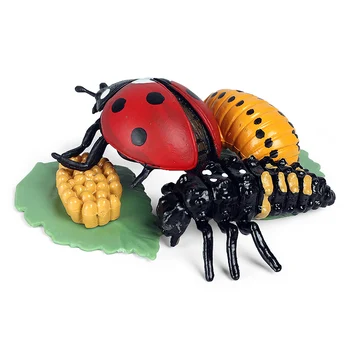 Oenux Simulare Insecte Șapte pete Lady Beetle Animale de Creștere a Ciclului de Model Figurine in Miniatura Educative pentru Copii Jucarii Cadou
