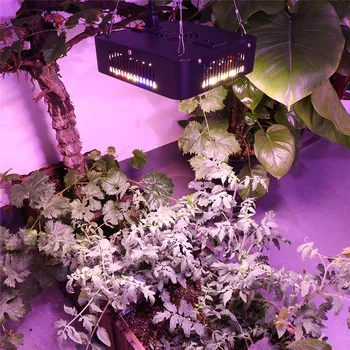 600W Spectru Complet Planta cu LED-uri Cresc de Lumină Lampă Pentru Plante de Interior Grădiniță de Flori Fructe Legume Hidroponice, Grow Tent Cip Dual-Fitolampy