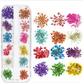 Flori uscate pentru Unghii 12Grids se Amestecă Mini Unghii Flori Uscate Autocolant pentru Sfaturi Decor Manichiura UV Gel Modele de Artă Adevărată Naturale